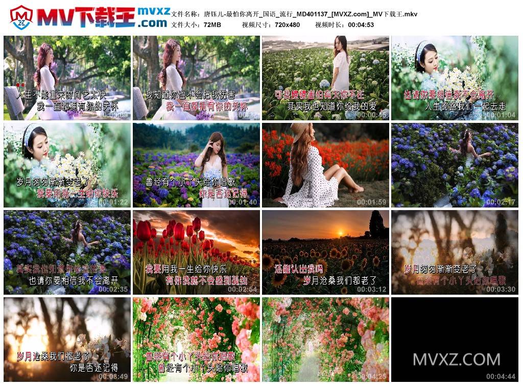 唐钰儿-最怕你离开_国语_流行_MD401137